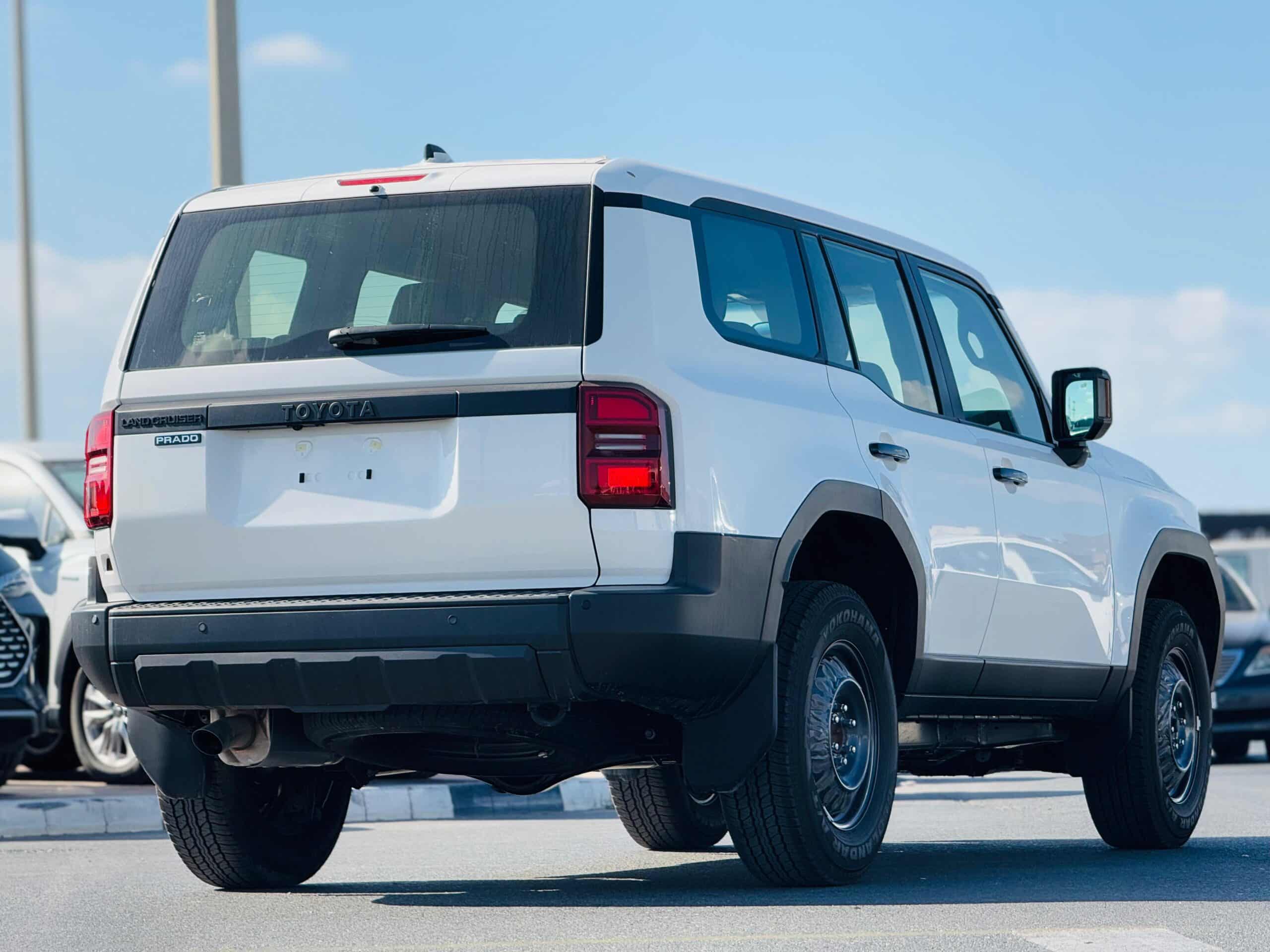 WhatsApp Image 2025-01-21 at 2.50.15 PM (4)