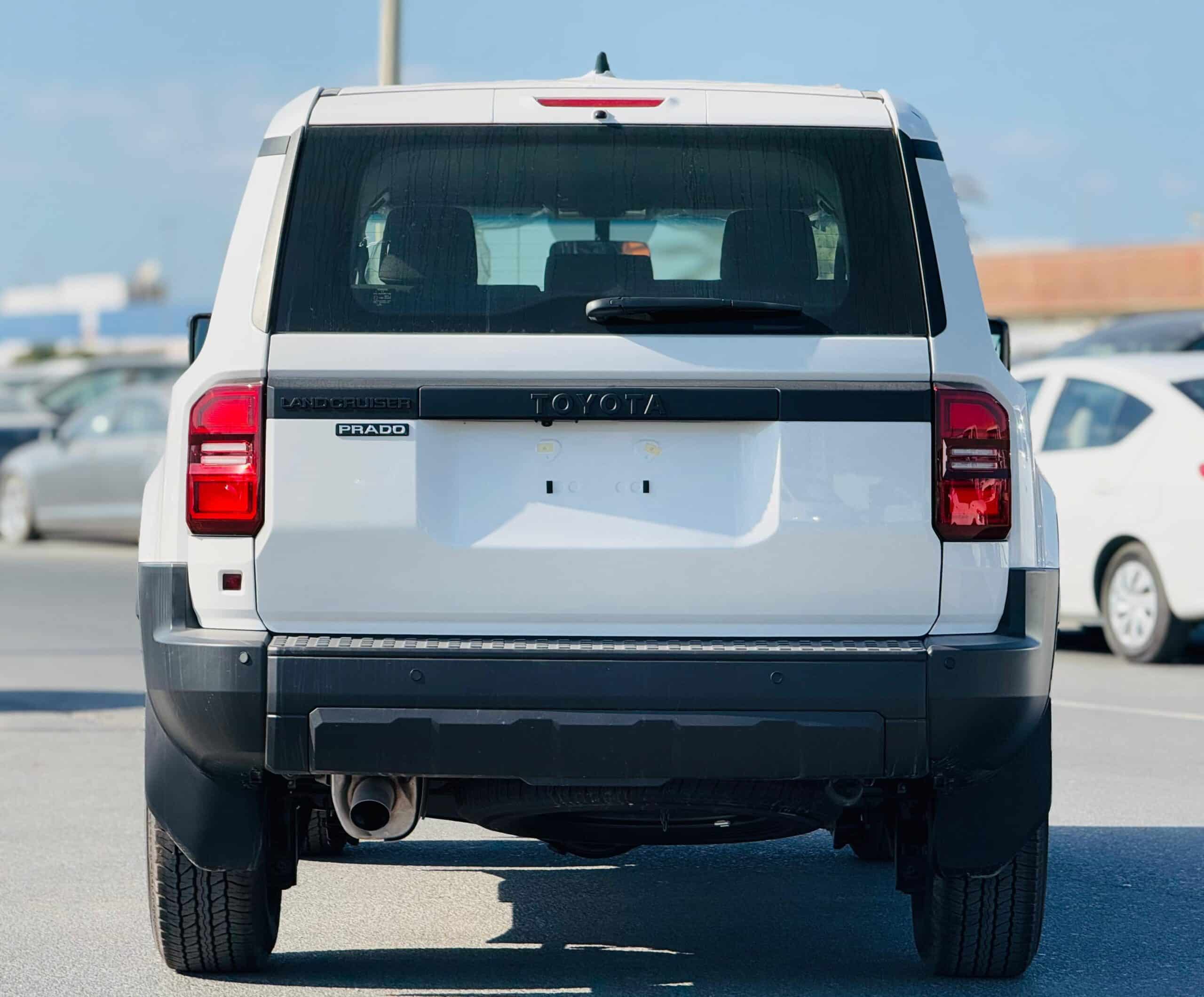 WhatsApp Image 2025-01-21 at 2.50.15 PM (5)