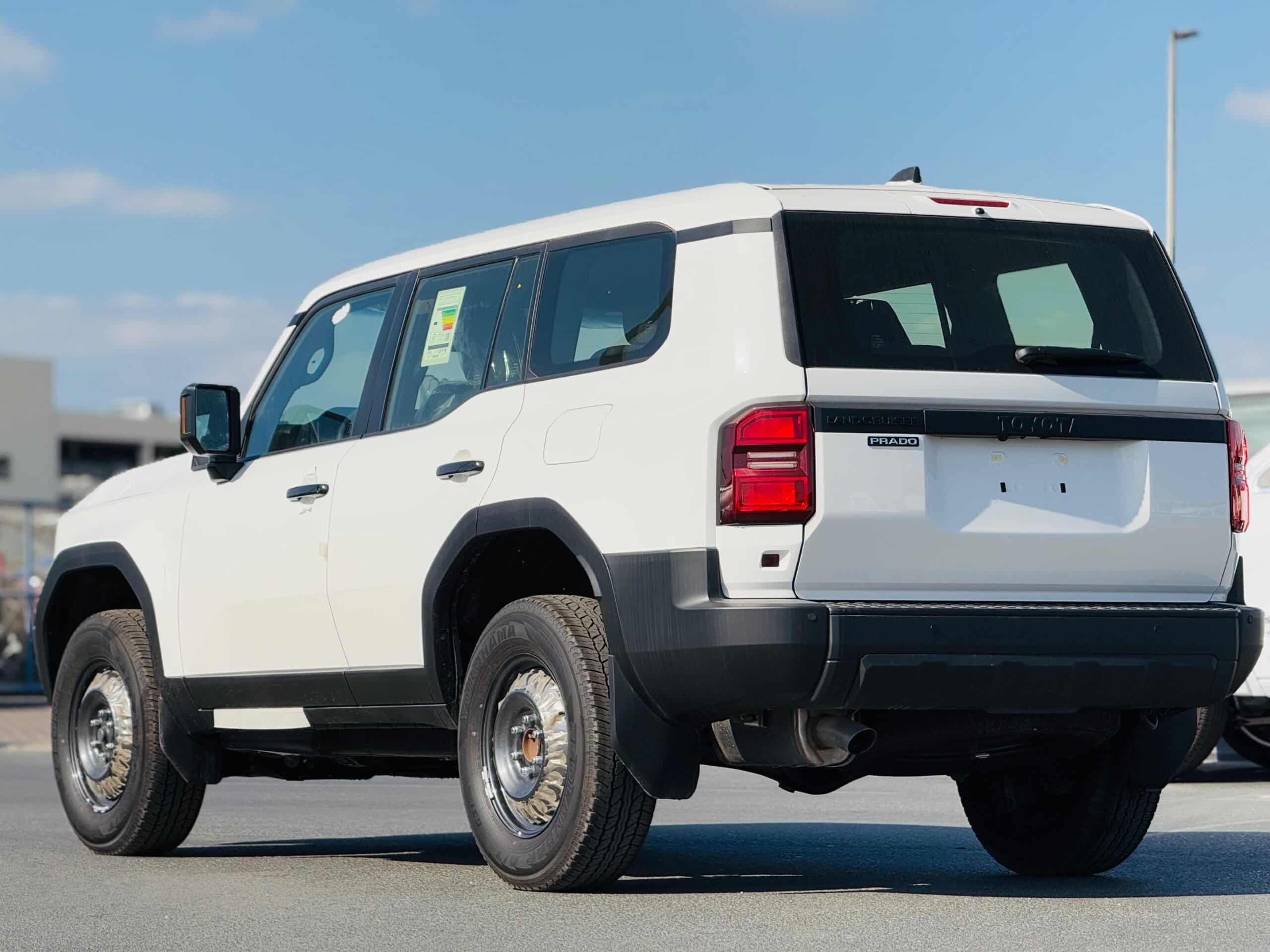 WhatsApp Image 2025-01-21 at 2.50.15 PM (6)