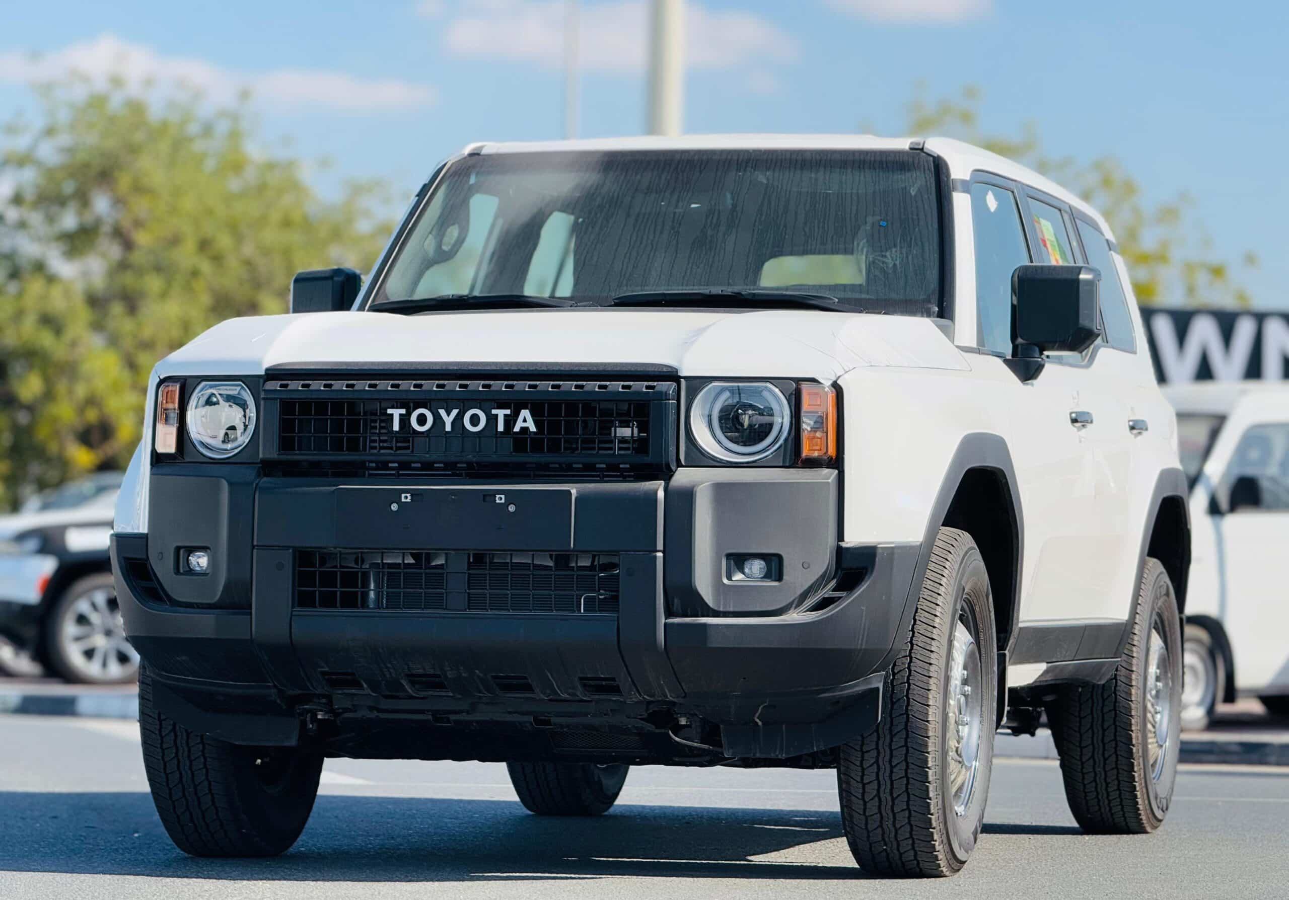 WhatsApp Image 2025-01-21 at 2.50.15 PM