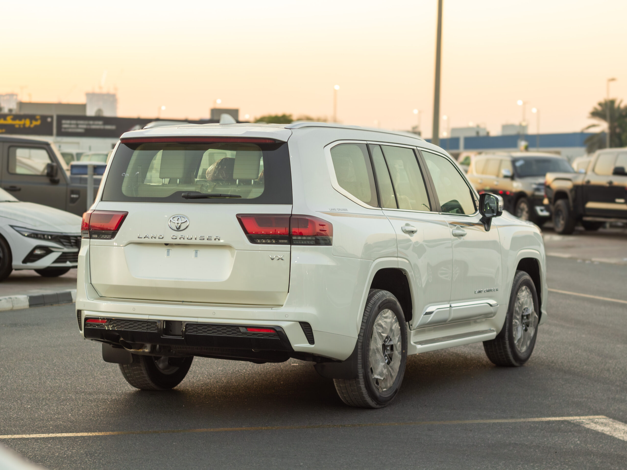 IMG_5379-Enhanced-NR