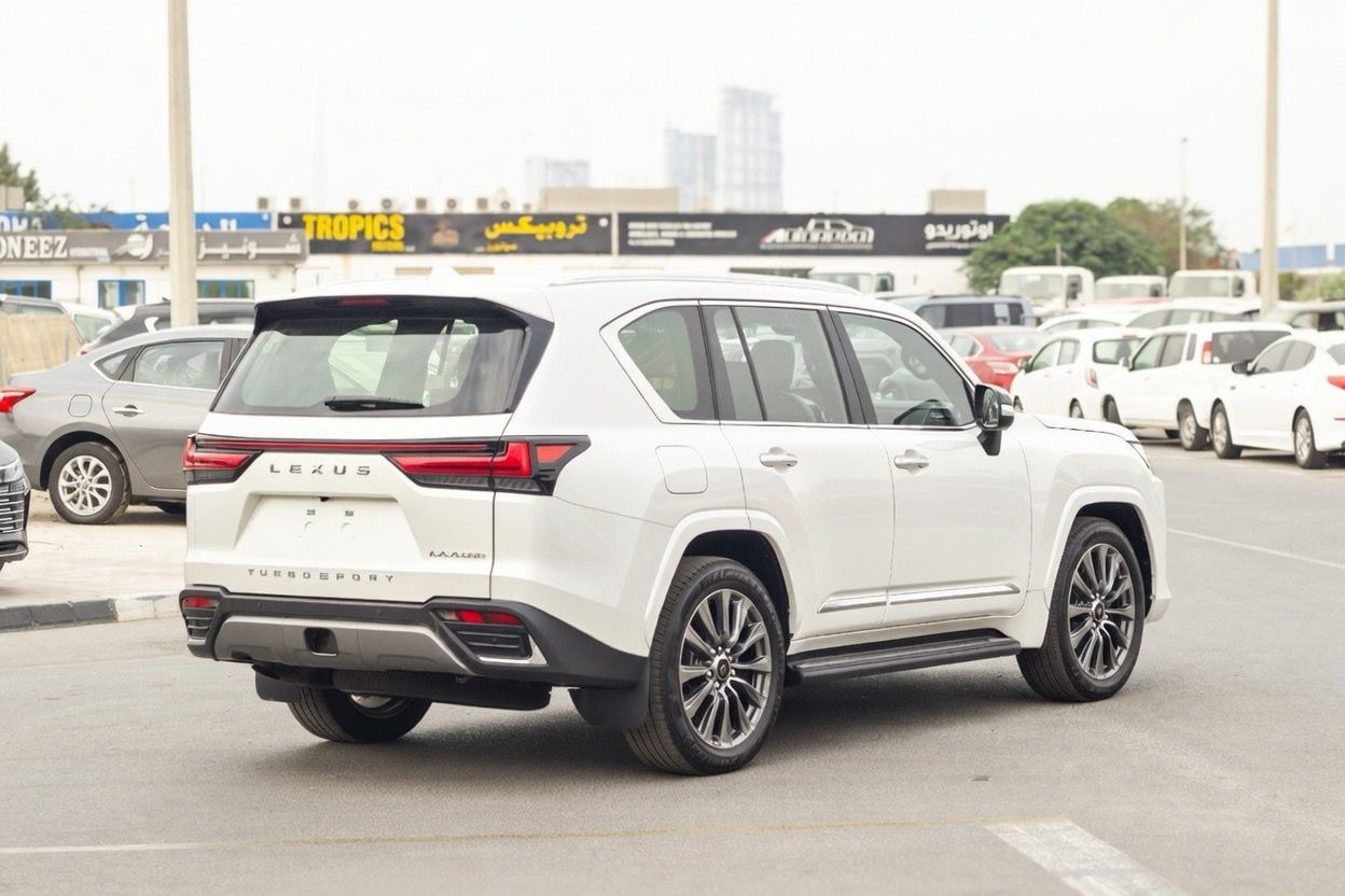 WhatsApp Image 2026-01-20 at 1.59.01 PM (1)