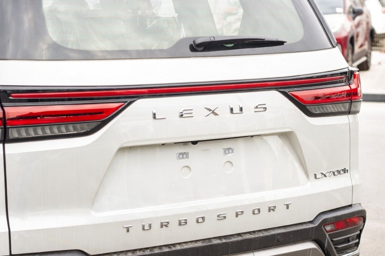 WhatsApp Image 2026-01-20 at 1.59.02 PM (1)